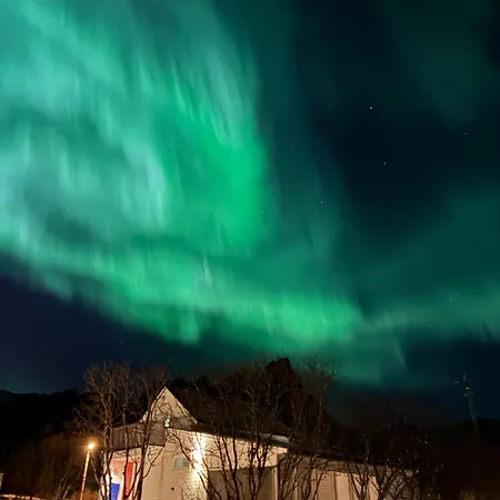 House By The Sea, Lofoten