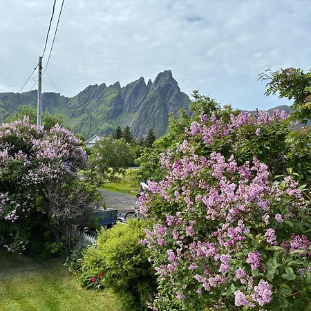 House By The Sea, Lofoten Vakantiehuis Ballstad