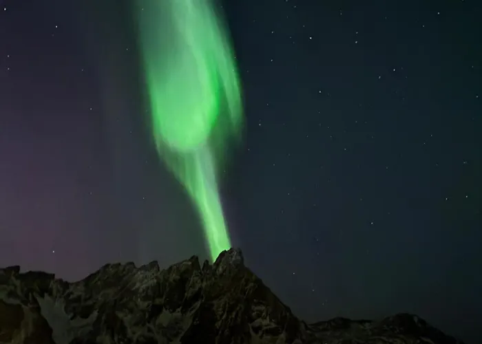 House By The Sea, Lofoten Feriehus