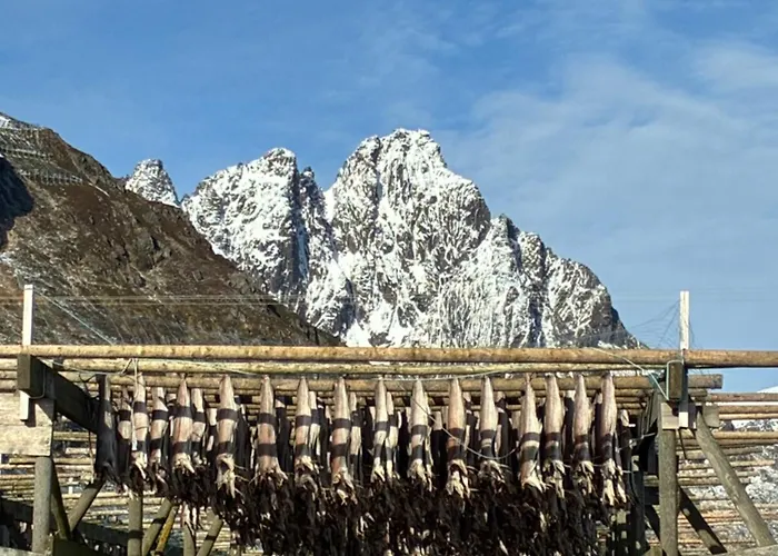 House By The Sea, Lofoten 度假居 巴尔斯塔